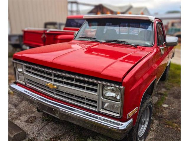 1986 Chevrolet K-10 (CC-1884859) for sale in Cadillac, Michigan