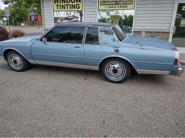 1980 Chevrolet Caprice (CC-1884933) for sale in Cadillac, Michigan