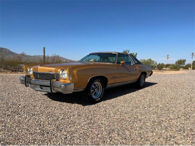 1973 Chevrolet Monte Carlo (CC-1884954) for sale in Cadillac, Michigan