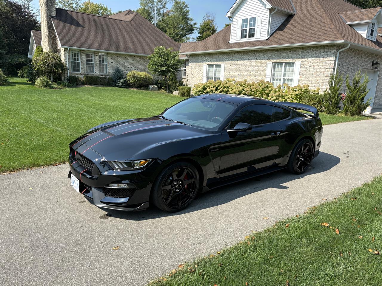 2019 Shelby GT350 for Sale CC1885202