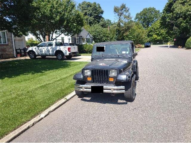 1993 Jeep Wrangler (CC-1885352) for sale in Cadillac, Michigan