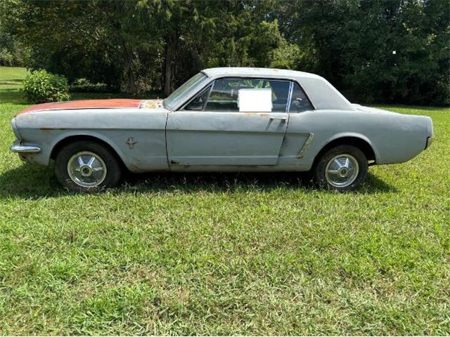 1964 Ford Mustang (CC-1885378) for sale in Cadillac, Michigan