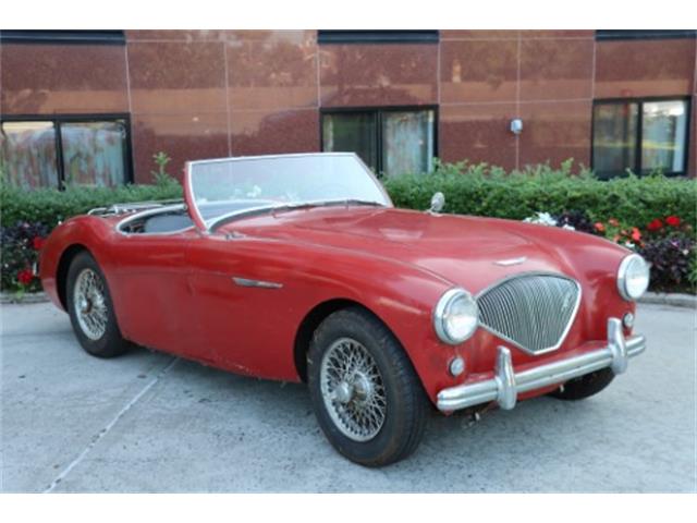 1955 Austin-Healey 100-4 (CC-1885413) for sale in Astoria, New York