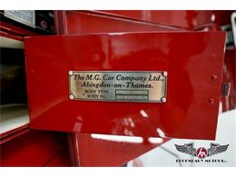 1955 MG TF (CC-1885538) for sale in Rowley, Massachusetts