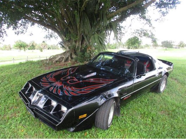 1979 Pontiac Firebird Trans Am (CC-1885665) for sale in Cadillac, Michigan