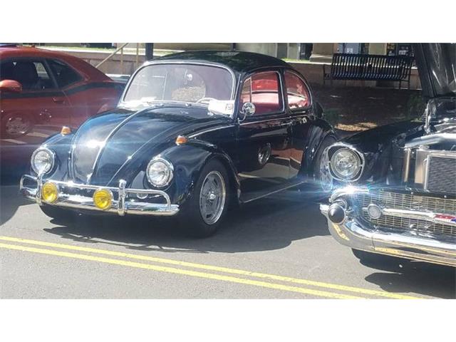 1967 Volkswagen Beetle (CC-1885676) for sale in Cadillac, Michigan