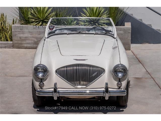 1955 Austin-Healey 100-4 (CC-1885815) for sale in Beverly Hills, California