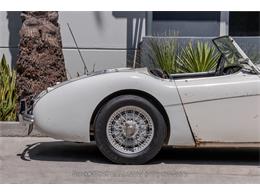 1955 Austin-Healey 100-4 (CC-1885815) for sale in Beverly Hills, California