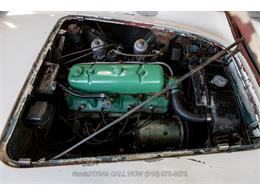 1955 Austin-Healey 100-4 (CC-1885815) for sale in Beverly Hills, California