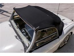 1955 Austin-Healey 100-4 (CC-1885815) for sale in Beverly Hills, California