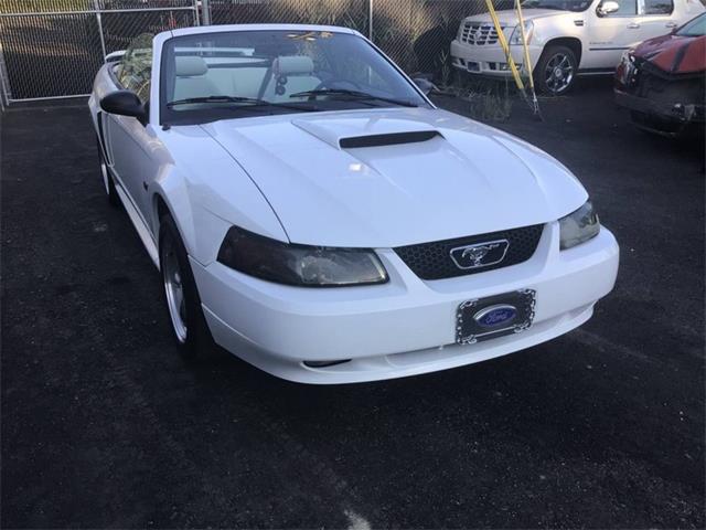 2001 Ford Mustang GT (CC-1885912) for sale in Sewell, New Jersey