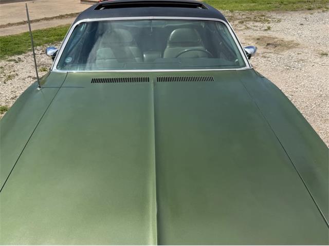 1971 Dodge Charger (CC-1886085) for sale in Celeste, Texas