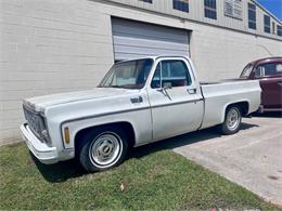 1979 Chevrolet C10 (CC-1886222) for sale in Pikeville, Kentucky