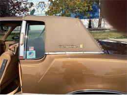 1980 Oldsmobile Cutlass (CC-1886402) for sale in Cadillac, Michigan