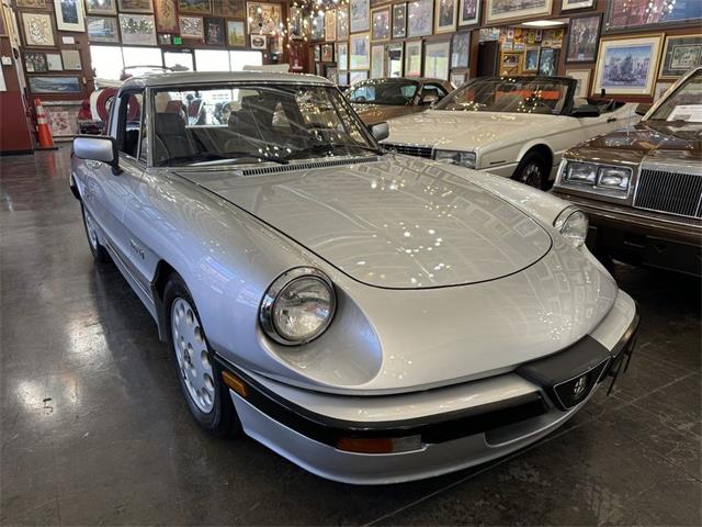 1987 Alfa Romeo Spider (CC-1886414) for sale in Henderson, Nevada