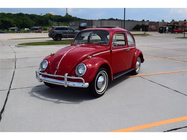 1965 Volkswagen Beetle (CC-1886637) for sale in Sioux City, Iowa