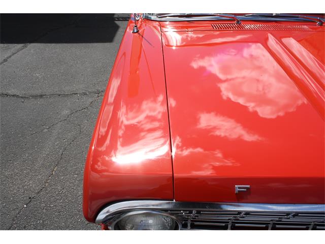 1965 Ford Falcon (CC-1886679) for sale in Tucson, Arizona