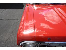 1965 Ford Falcon (CC-1886679) for sale in Tucson, Arizona
