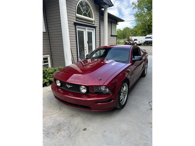 2005 Ford Mustang GT (CC-1880668) for sale in Fredericton , New Brunswick