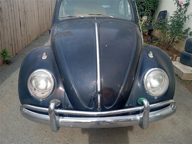 1963 Volkswagen Beetle (CC-1886682) for sale in Calimesa, California