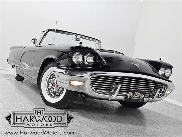 1959 Ford Thunderbird (CC-1886841) for sale in Macedonia, Ohio