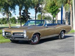 1967 Pontiac GTO (CC-1886856) for sale in Palmetto, Florida