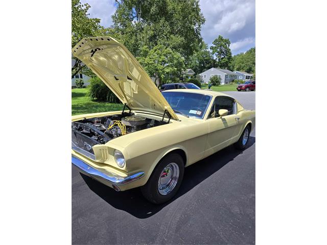 1965 Ford Mustang (CC-1887052) for sale in Poughkeepsie, New York