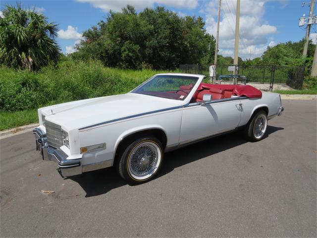 1984 Cadillac Eldorado Biarritz (CC-1887131) for sale in Apopka, Florida