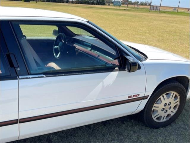 1994 Chevrolet Lumina (CC-1887140) for sale in Great Bend, Kansas