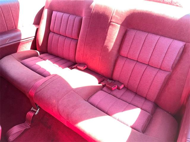 1994 Chevrolet Lumina (CC-1887140) for sale in Great Bend, Kansas
