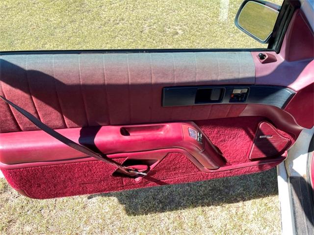 1994 Chevrolet Lumina (CC-1887140) for sale in Great Bend, Kansas