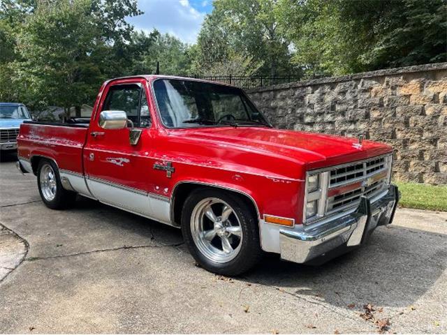 1985 Chevrolet C10 (CC-1887213) for sale in Cadillac, Michigan