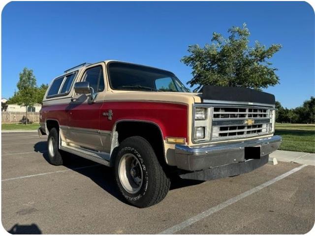 1985 Chevrolet Blazer (CC-1887215) for sale in Cadillac, Michigan