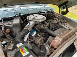 1978 Ford F100 (CC-1887218) for sale in Cadillac, Michigan