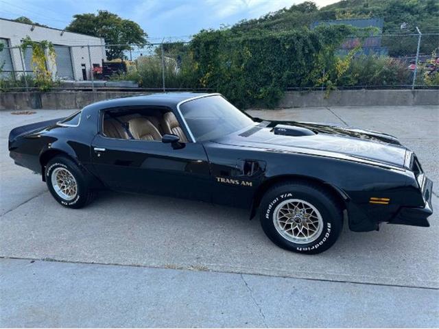 1976 Pontiac Firebird Trans Am (CC-1887222) for sale in Cadillac, Michigan