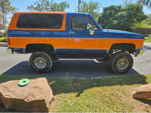 1989 Chevrolet Blazer (CC-1880743) for sale in Cadillac, Michigan