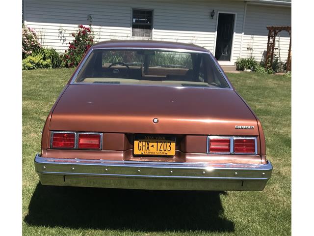 1978 Chevrolet Nova (CC-1887550) for sale in Middleport , New York