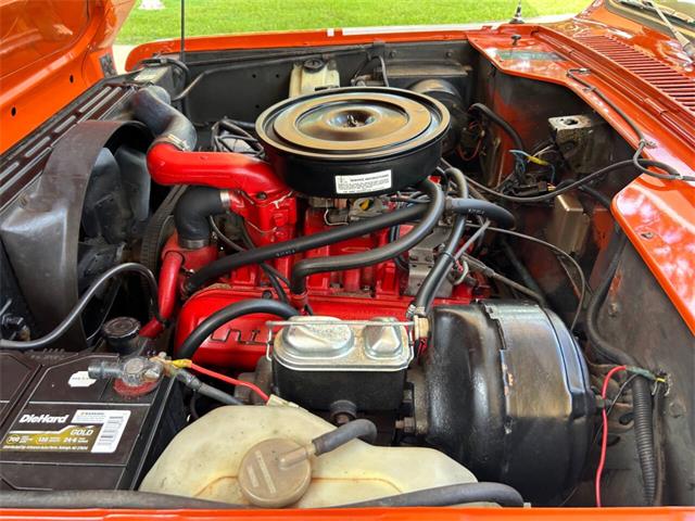 1978 International Scout II (CC-1887697) for sale in Bradington, Florida