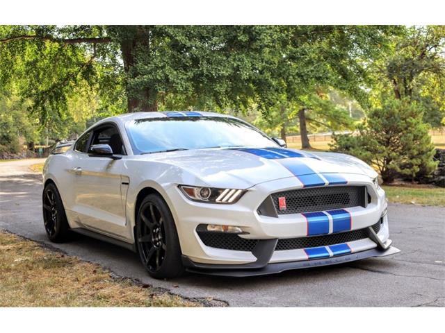 2018 Shelby Mustang (CC-1887789) for sale in Carlisle, Pennsylvania