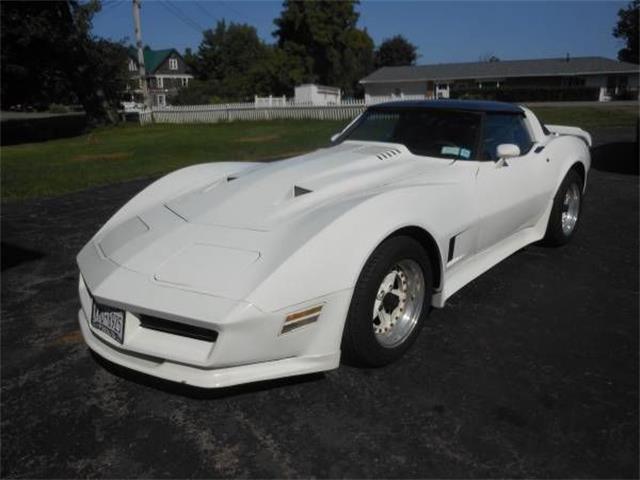 1981 Chevrolet Corvette (CC-1888376) for sale in Cadillac, Michigan