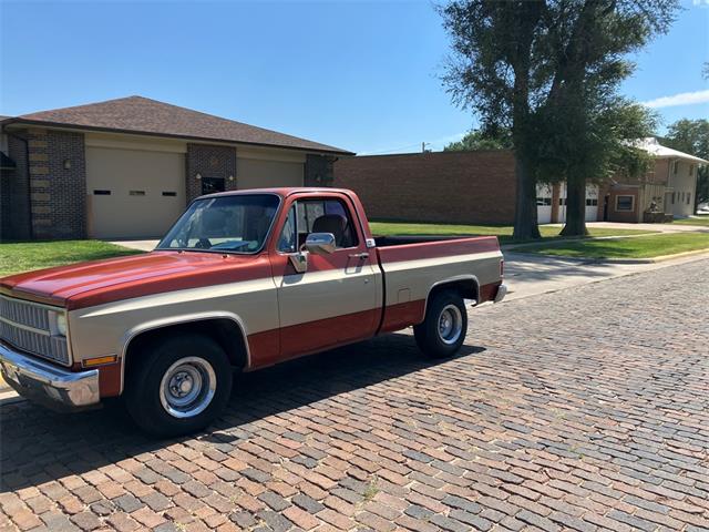 1981 Chevrolet C10 (CC-1888583) for sale in Great Bend, Kansas