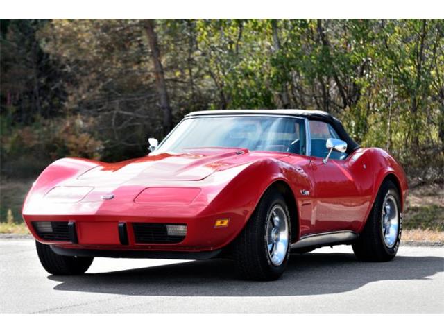 1975 Chevrolet Corvette (CC-1888679) for sale in Cadillac, Michigan