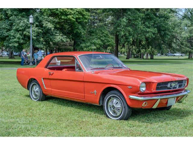 1965 Ford Mustang (CC-1888956) for sale in Hilton, New York