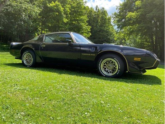 1979 Pontiac Firebird (CC-1888963) for sale in Hilton, New York