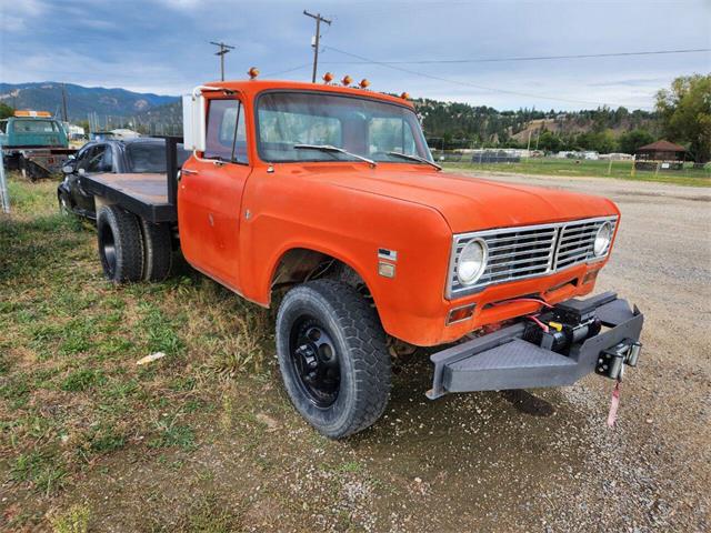 1972 International 3300 (CC-1889065) for sale in Lolo, Montana