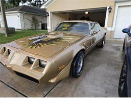 1979 Pontiac Firebird Trans Am (CC-1889201) for sale in Cadillac, Michigan