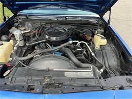 1979 Chevrolet Malibu (CC-1889458) for sale in Tillsonburg, Ontario