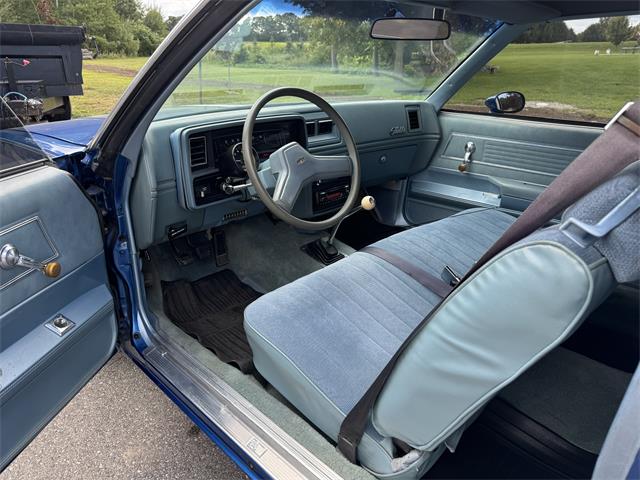 1979 Chevrolet Malibu (CC-1889458) for sale in Tillsonburg, Ontario
