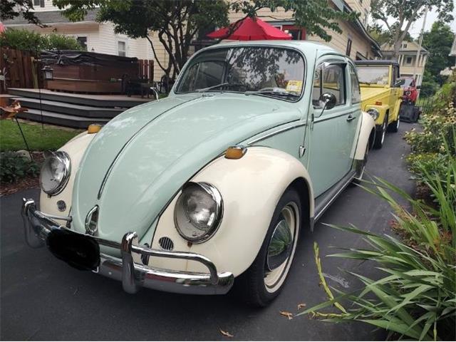 1965 Volkswagen Beetle (CC-1889925) for sale in Cadillac, Michigan