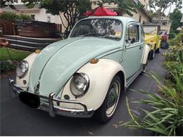 1965 Volkswagen Beetle (CC-1889925) for sale in Cadillac, Michigan